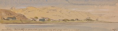 Sabooa közelében alkotó: Edward Lear