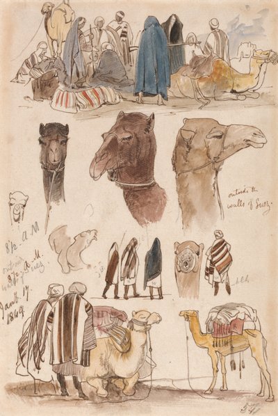 Suez falain kívül, 1849. január 17., reggel 8:30 (54) alkotó: Edward Lear