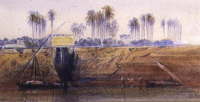 Sakkia, Ibreem közelében, 1865. február 6. alkotó: Edward Lear