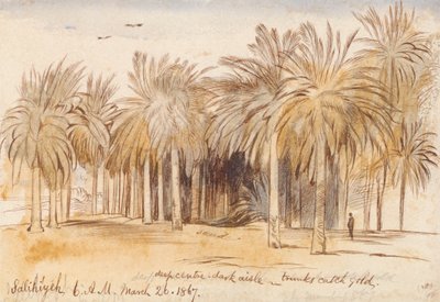 Salahiyeh alkotó: Edward Lear