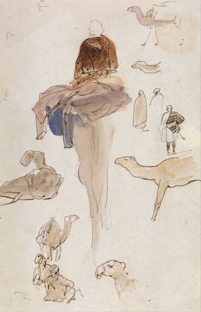 Tanulmányok a tevékről alkotó: Edward Lear