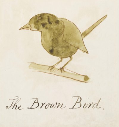A barna madár, a Tizenhat képregény madarak rajzából (toll és tus wc papíron) alkotó: Edward Lear