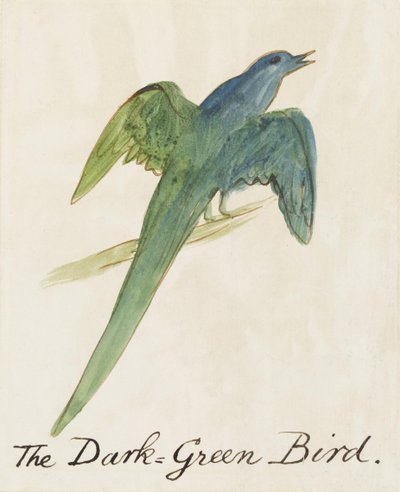 A sötétzöld madár a Tizenhat komikus madár rajzból (toll és tus wc papíron) alkotó: Edward Lear
