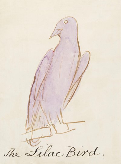 A lila madár a Tizenhat komikus madár rajzból (toll és tus wc papíron) alkotó: Edward Lear