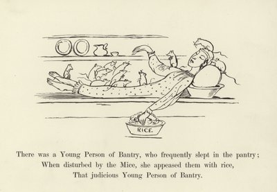 Volt egy fiatal Bantryban, aki gyakran aludt a kamrában alkotó: Edward Lear