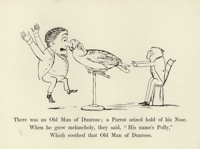 Volt egy Dunrose-i Öreg; egy papagáj megragadta az orrát alkotó: Edward Lear