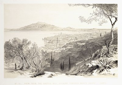 Kilátás a Várhegyről, Monte Skopo felé nézve, Zante, 1863 alkotó: Edward Lear