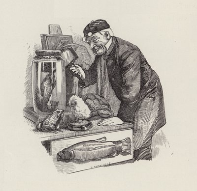 Illusztráció: Charles Kingsley: The Water-Babies (metszet) alkotó: Edward Linley (after) Sambourne
