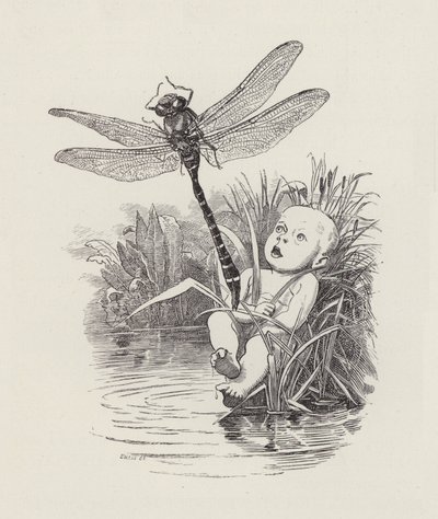 Illusztráció: Charles Kingsley: The Water-Babies (metszet) alkotó: Edward Linley (after) Sambourne