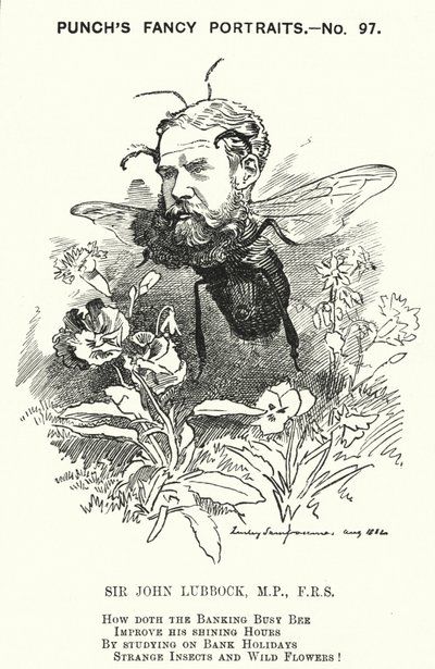Punch rajzfilm: John Lubbock alkotó: Edward Linley (after) Sambourne