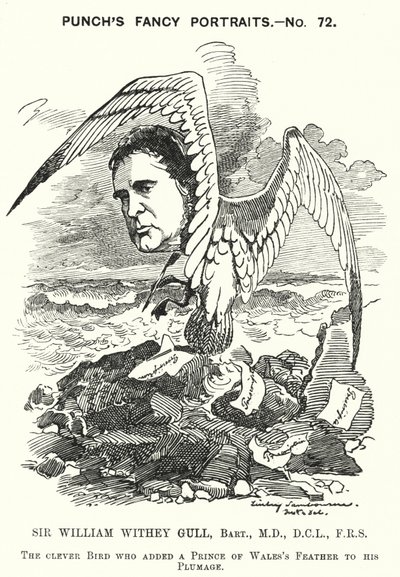 Punch rajzfilm: Sir William Withey Gull angol orvos, aki tífusz miatt kezelte a walesi herceget, és Viktória királynő rendes orvosa lett (metszet) alkotó: Edward Linley (after) Sambourne