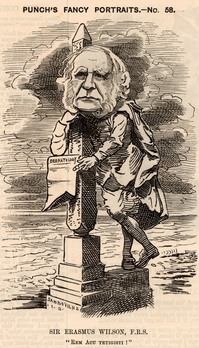 Erasmus Wilson (1809-1884) alkotó: Edward Linley Sambourne