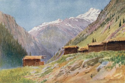 Lenézett a Gurais-völgyre, Dudhgai faluból alkotó: Edward Mary Joseph Molyneux