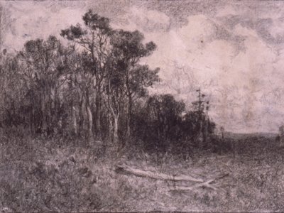 Tájkép, erdei tájkép alkotó: Edward Mitchell Bannister