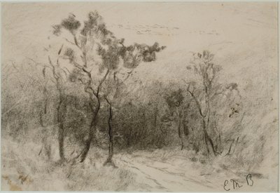 Táj ösvénnyel (#51), c. 1880-as évek (szén papíron) alkotó: Edward Mitchell Bannister