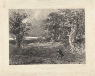 Az erdő szélén alkotó: Edward Radclyffe