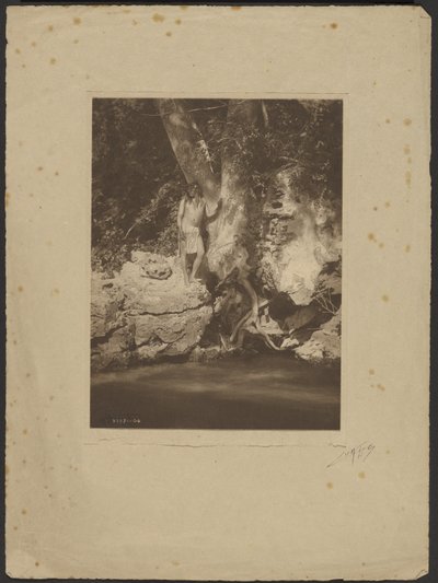 Apache-Black River (A platánnál) alkotó: Edward S. Curtis