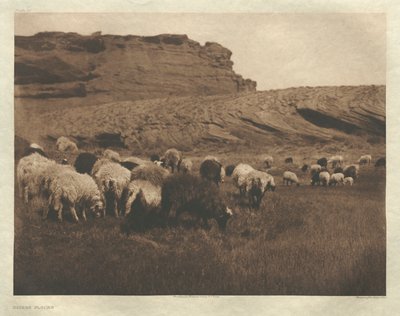 I. portfólió, 33. tábla: Navaho nyájak alkotó: Edward S. Curtis