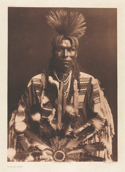 VI. portfólió, 208. tábla: Piegan Dandy alkotó: Edward S. Curtis