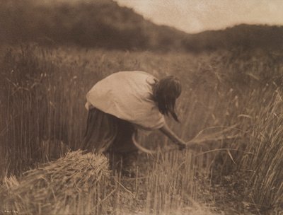 Az apacs arató alkotó: Edward S. Curtis
