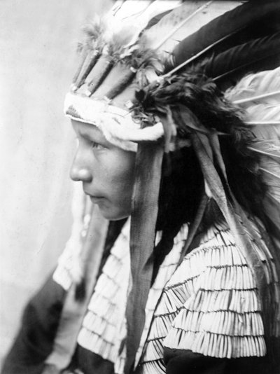 Cheyenne lány, A rossz ló lánya (profil), c. 1905, fénykép Edward S. Curtis alkotó: Edward Sheriff Curtis