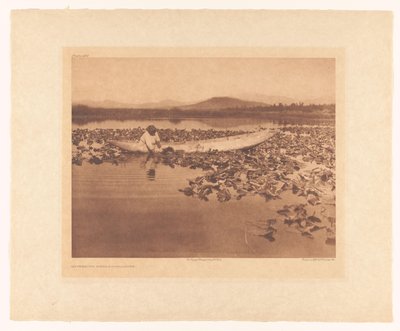  alkotó: Edward Sheriff Curtis