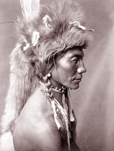 Sárga vese, Piegan alkotó: Edward Sheriff Curtis