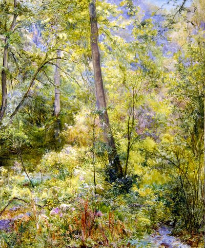 Foltos napfény, Sheepscombe Woods alkotó: Edward Steel Harper
