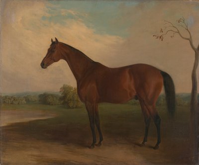 Szuverén alkotó: Edward Troye