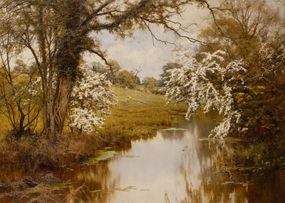 Ahol vidáman virágzik a szétterülő galagonya (olaj, vászon) alkotó: Edward Wilkins Waite