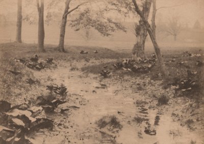 Tavaszi táj, 1890-es évek (fotó) alkotó: Edward Willis Redfield
