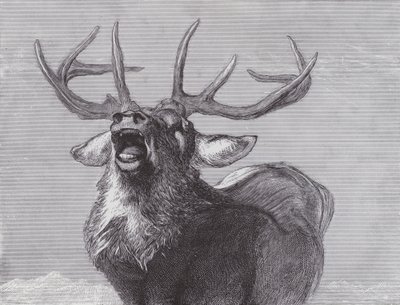 Kihívás alkotó: Edwin (after) Landseer