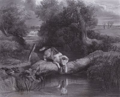 A kutya és az árnyék (metszet) alkotó: Edwin (after) Landseer