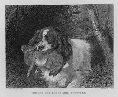 Az öreg kutya úgy néz ki, mint egy kép (metszet) alkotó: Edwin (after) Landseer