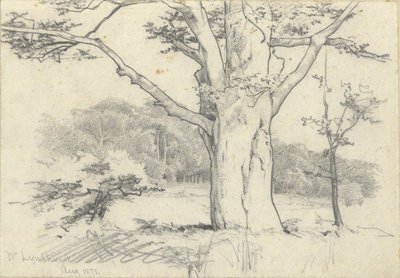 Nr. Lyndhurst, 1871. aug alkotó: Edwin Austin Abbey