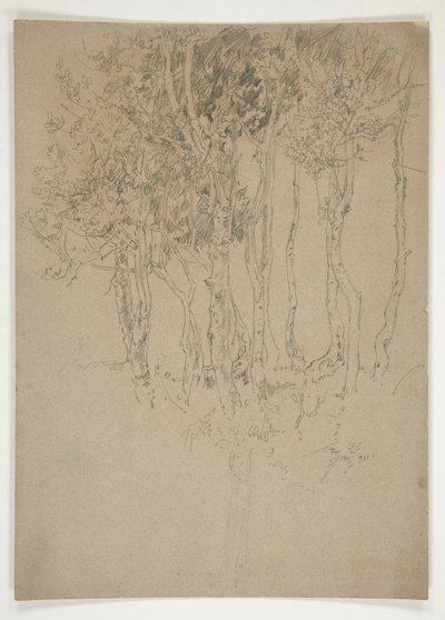 Vázlat egy ligetről alkotó: Edwin Austin Abbey