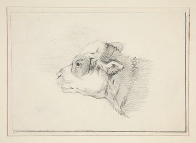 Vázlat egy bárányról alkotó: Edwin Austin Abbey