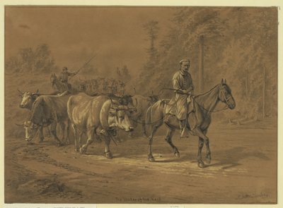 Az állomány vezetője Absztrakt/médium: 1 rajz. alkotó: Edwin Forbes