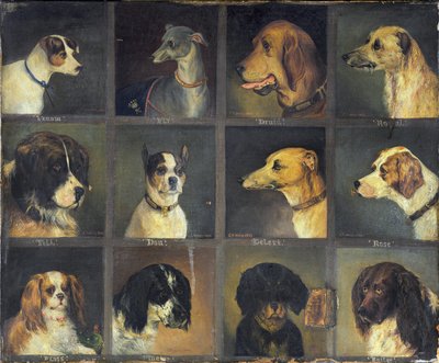 Tizenkét kedvenc kutya, 1883 alkotó: Edwin Frederick Holt