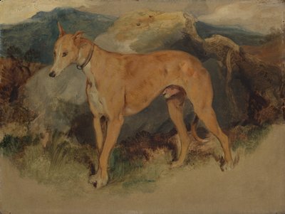 Egy szarvaskutya, 1826. alkotó: Edwin Landseer