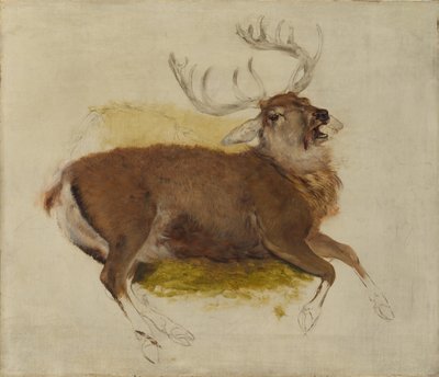 Dying Stag, kb. 1830. alkotó: Edwin Landseer