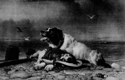 Mentve!, c1856, 1911 alkotó: Edwin Landseer