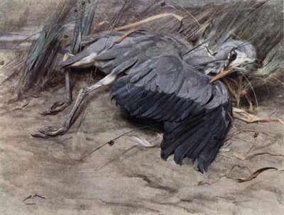 Gém alkotó: Edwin John Alexander