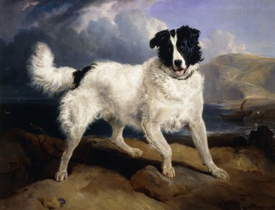 Neptun portréja, 1824 alkotó: Edwin Landseer