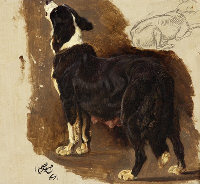 Collie szuka (olaj és ceruza a kártyán) alkotó: Edwin Landseer
