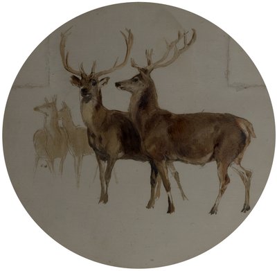Szarvas a tájban (Szarvasok tanulmányozása) alkotó: Edwin Landseer