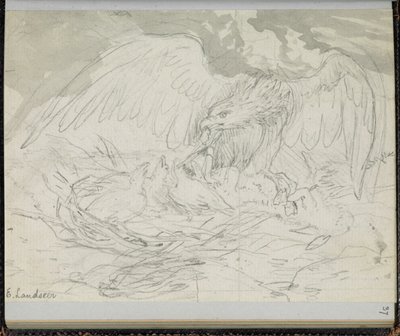 F. 37: Egy csibéket etető ragadozómadár, „Vázlatfüzet Charles Dickens-történetek jeleneteivel” (ceruza papíron) alkotó: Edwin Landseer