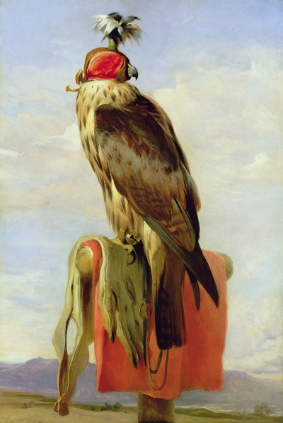 Csuklyás sólyom alkotó: Edwin Landseer