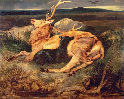 Szarvas alkotó: Edwin Landseer
