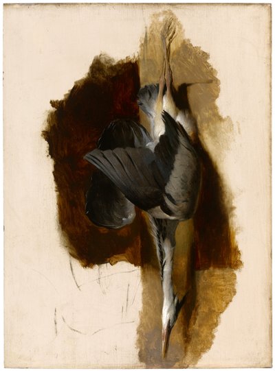 Tanulmány egy döglött gémről, 1832-33 körül alkotó: Edwin Landseer